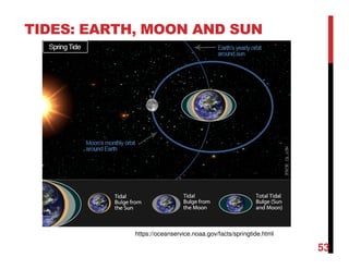 53
TIDES: EARTH, MOON AND SUN
https://oceanservice.noaa.gov/facts/springtide.html
 