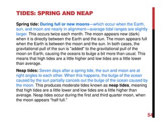 TIDES: SPRING AND NEAP
Spring tide: During full or new moons—which occur when the Earth,
sun, and moon are nearly in alignment—average tidal ranges are slightly
larger. This occurs twice each month. The moon appears new (dark)
when it is directly between the Earth and the sun. The moon appears full
when the Earth is between the moon and the sun. In both cases, the
gravitational pull of the sun is "added" to the gravitational pull of the
moon on Earth, causing the oceans to bulge a bit more than usual. This
means that high tides are a little higher and low tides are a little lower
than average.
Neap tides: Seven days after a spring tide, the sun and moon are at
right angles to each other. When this happens, the bulge of the ocean
caused by the sun partially cancels out the bulge of the ocean caused by
the moon. This produces moderate tides known as neap tides, meaning
that high tides are a little lower and low tides are a little higher than
average. Neap tides occur during the first and third quarter moon, when
the moon appears "half full."
54
 