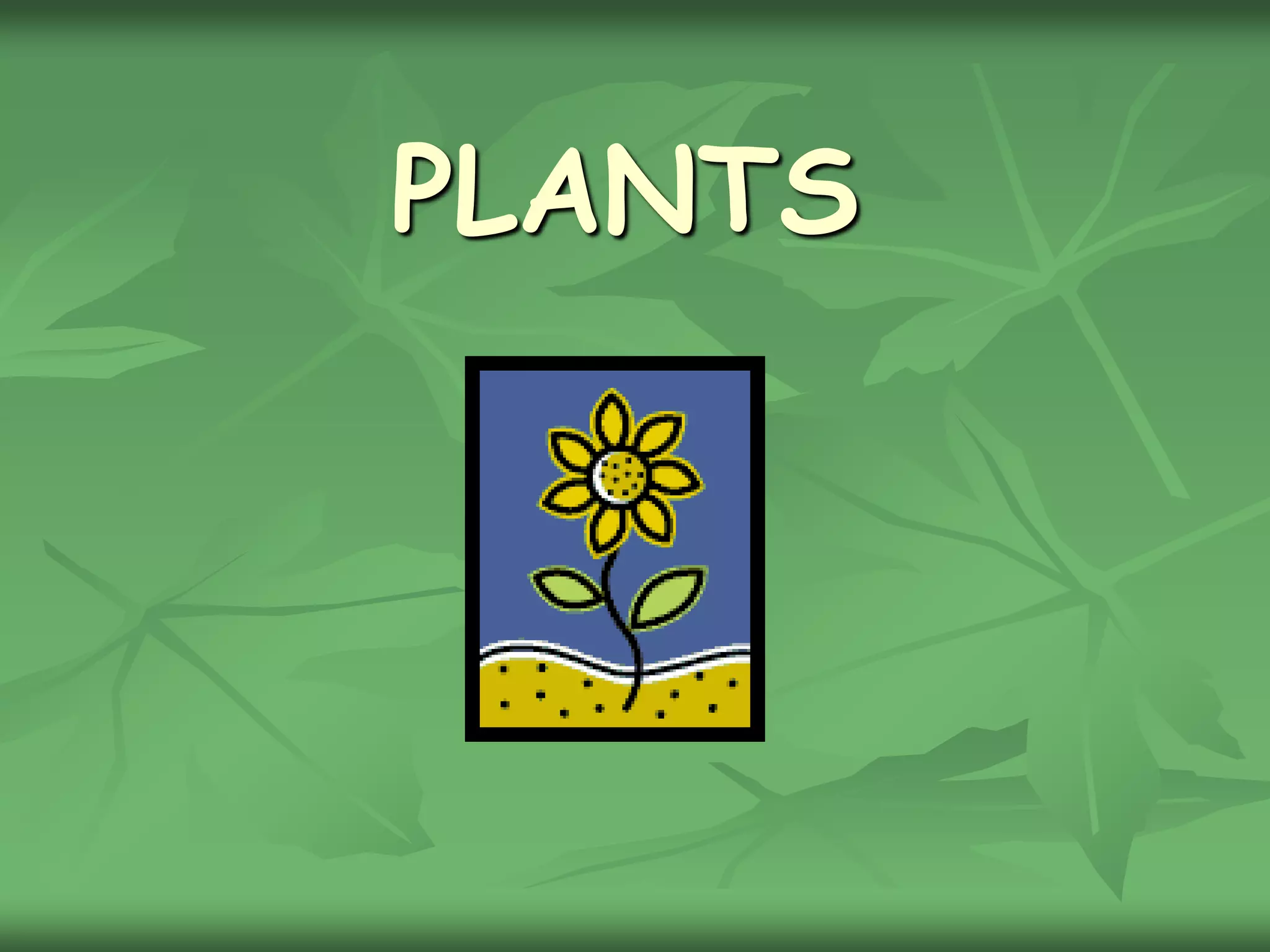 Chapter 2 what do plants need to grow PPT
