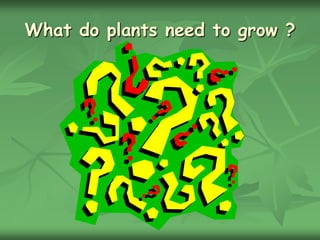 What do plants need to grow ?
 