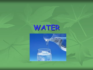WATER
 