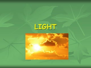 LIGHT
 
