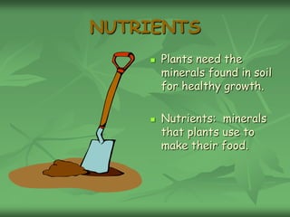 NUTRIENTS
       Plants need the
        minerals found in soil
        for healthy growth.

       Nutrients: minerals
        that plants use to
        make their food.
 