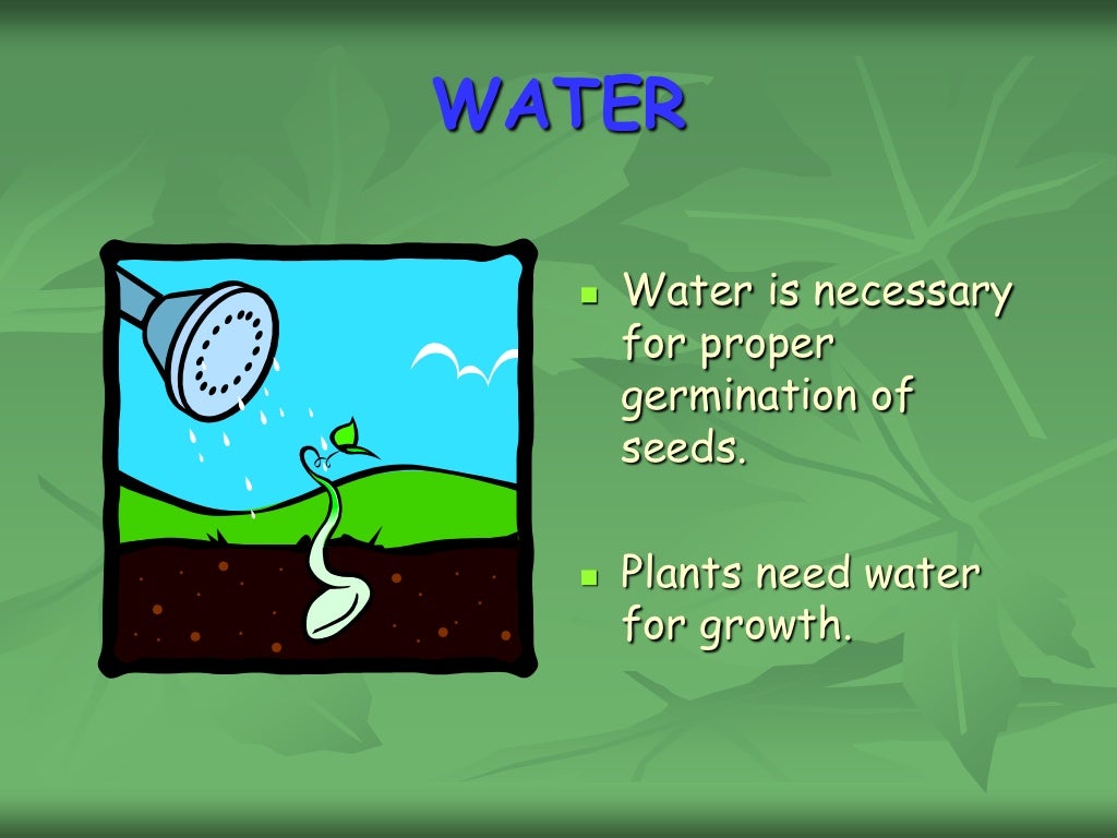 Chapter 2 what do plants need to grow