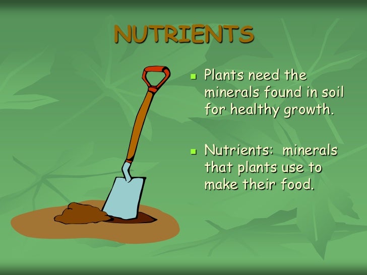 Use Food To Make Water Use Food To Make Water