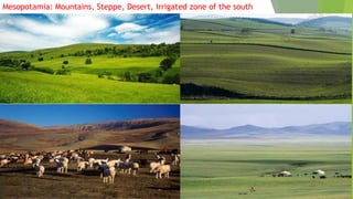Mesopotamia: Mountains, Steppe, Desert, Irrigated zone of the south
 