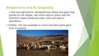 Mesopotamia and its Geography
 Not only agriculture, Mesopotamian sheep and goats that
grazed on the steppe, the north-eastern plains and the
mountain slopes produced meat, milk and wool in
abundance.
 Further, fish was available in rivers and date-palms gave
fruit in summer.
 