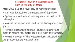A Trading Town in a Pastoral Zone
(Life in the city of Mari)
After 2000 BCE the royal city of Mari flourished.
• Mari was located on the upstream of Euphrates.
• Agriculture and animal rearing were carried out in
this region.
• Most of the region was used for pasturing sheep and
goats.
• Herders exchanged animals, cheese, leather and
meat in return for, metal tools etc. with the farmers.
• Nomadic groups of the western desert filtered into
the prosperous agricultural land.
 