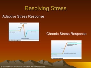 Resolving Stress Adaptive Stress Response Chronic Stress Response 