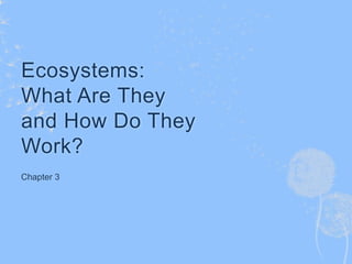 Ecosystems:
What Are They
and How Do They
Work?
Chapter 3
 