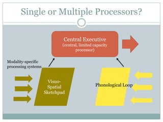 Single or Multiple Processors?

                             Central Executive
                             (central, limited capacity
                                    processor)

Modality-specific
processing systems


                       Visuo-
                      Spatial                   Phonological Loop
                     Sketchpad
 
