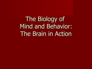 The Biology of  Mind and Behavior: The Brain in Action 