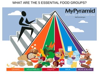 WHAT ARE THE 5 ESSENTIAL FOOD GROUPS? 