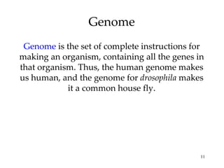 Genome Genome  is the set of complete instructions for making an organism, containing all the genes in that organism. Thus, the human genome makes us human, and the genome for  drosophila  makes it a common house fly. 