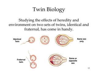 Twin Biology Studying the effects of heredity and environment on two sets of twins, identical and fraternal, has come in handy. 