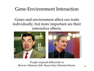 Gene-Environment Interaction Genes and environment affect our traits individually, but more important are their interactive effects. People respond differently to Rowan Atkinson (Mr. Bean) than Orlando bloom. Rex Features Alessia Pierdomenico/Reuters/Corbis 