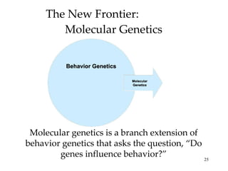 The New Frontier:  Molecular Genetics Molecular genetics is a branch extension of behavior genetics that asks the question, “Do genes influence behavior?” 