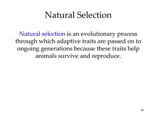 Natural Selection Natural selection  is an evolutionary process through which adaptive traits are passed on to ongoing generations because these traits help animals survive and reproduce. 