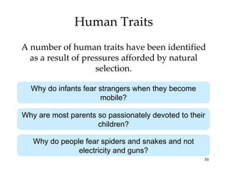 Human Traits A number of human traits have been identified as a result of pressures afforded by natural selection. Why do infants fear strangers when they become mobile? Why are most parents so passionately devoted to their children? Why do people fear spiders and snakes and not electricity and guns? 