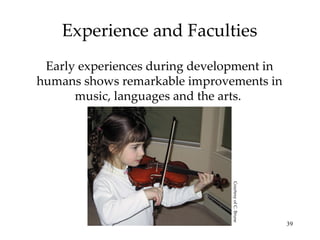 Experience and Faculties Early experiences during development in humans shows remarkable improvements in music, languages and the arts.  Courtesy of C. Brune 