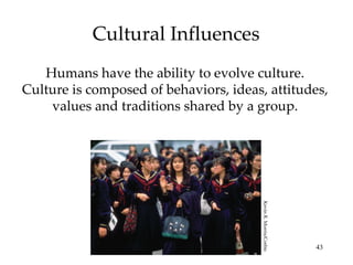 Cultural Influences Humans have the ability to evolve culture. Culture is composed of behaviors, ideas, attitudes, values and traditions shared by a group. Kevin R. Morris/Corbis 