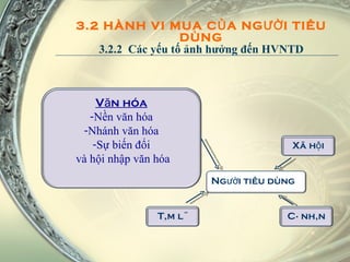 3.2 HÀNH VI MUA CỦA NGƯỜI TIÊU DÙNG  3.2.2  Các yếu tố ảnh hưởng đến HVNTD  Người tiêu dùng Xã hội Tâm lý Cá nhân Văn hóa Nền văn hóa Nhánh văn hóa Sự biến đổi và hội nhập văn hóa 