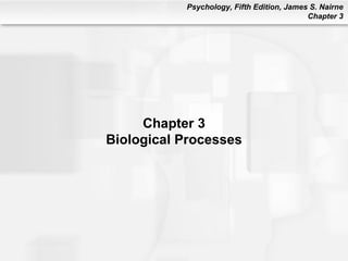 Chapter 3 Biological Processes 
