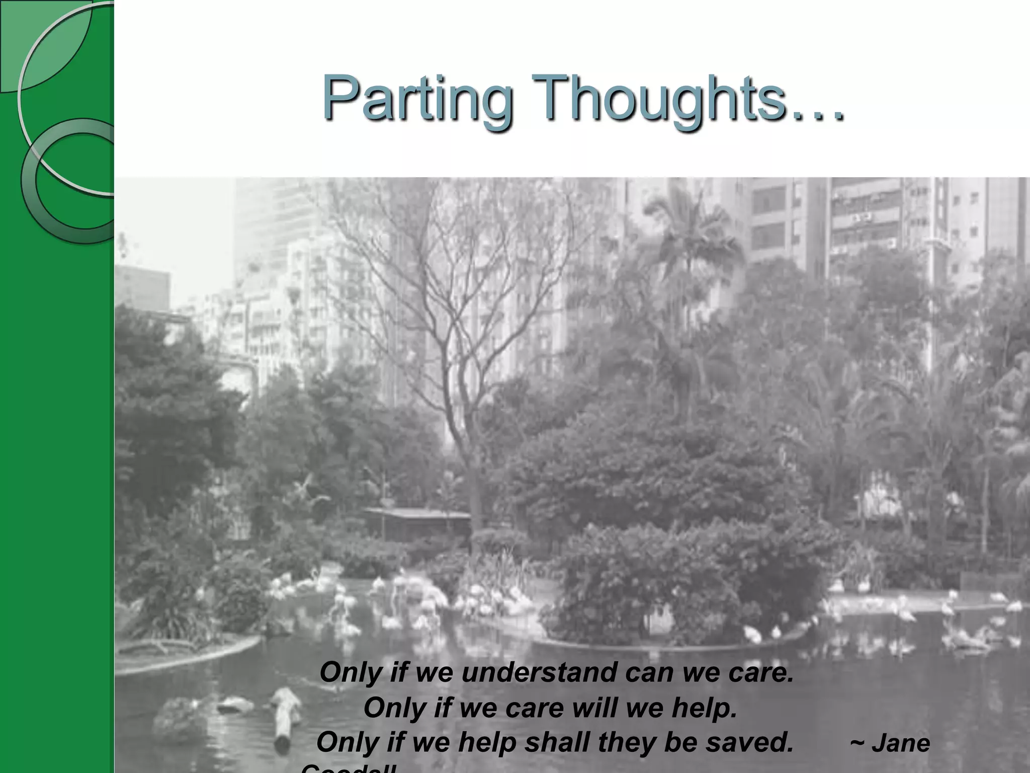 Parting Thoughts…




Only if we understand can we care.
   Only if we care will we help.
Only if we help shall they be saved.   ~ Jane
 