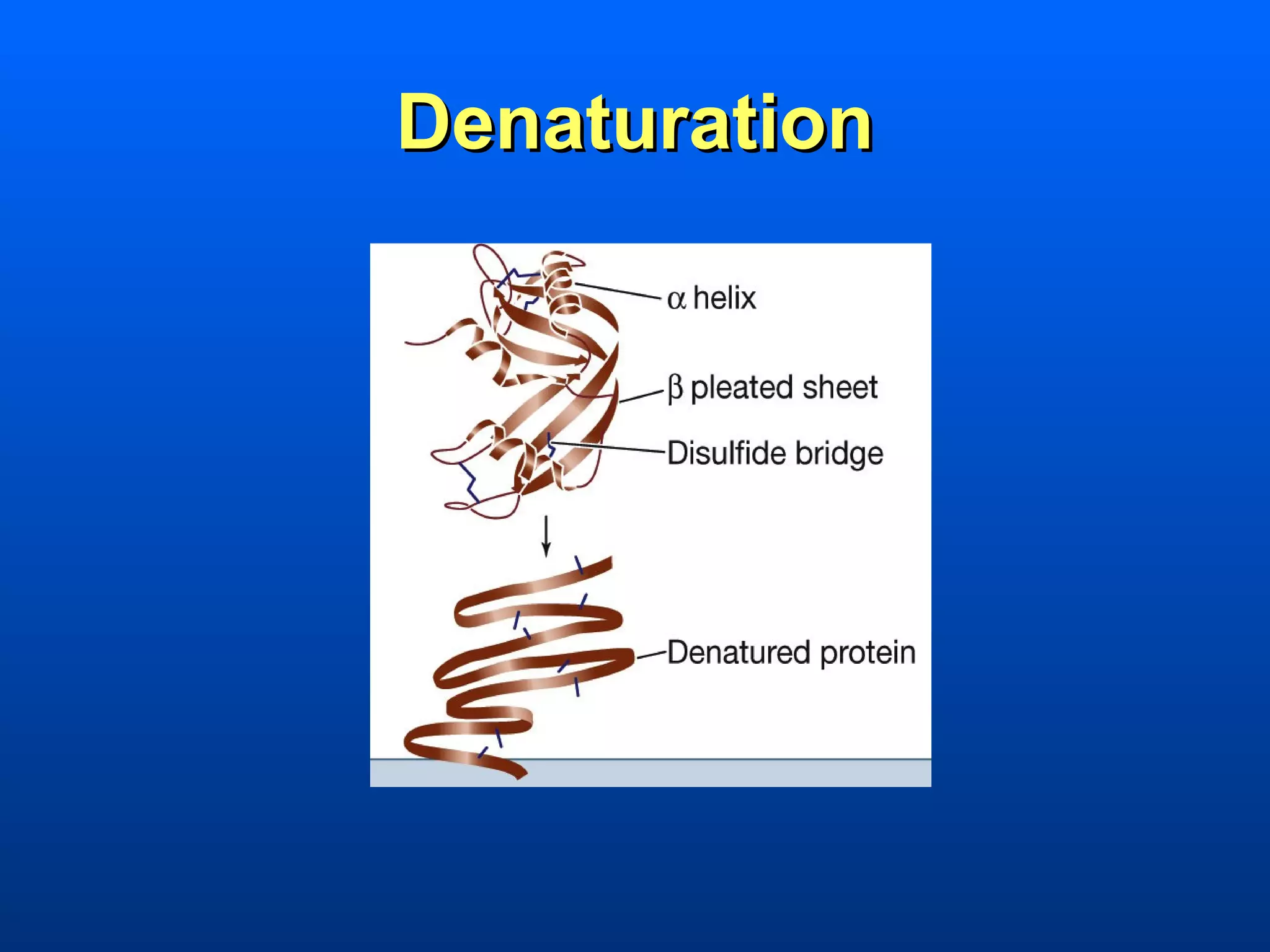 Denaturation
 