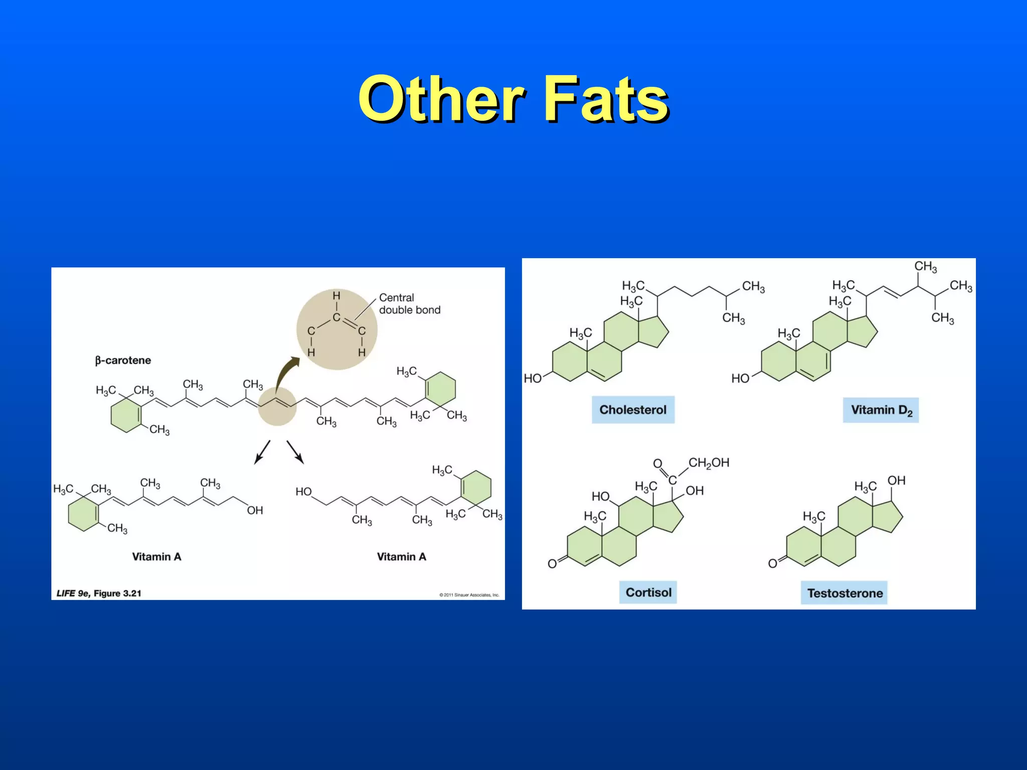 Other Fats
 