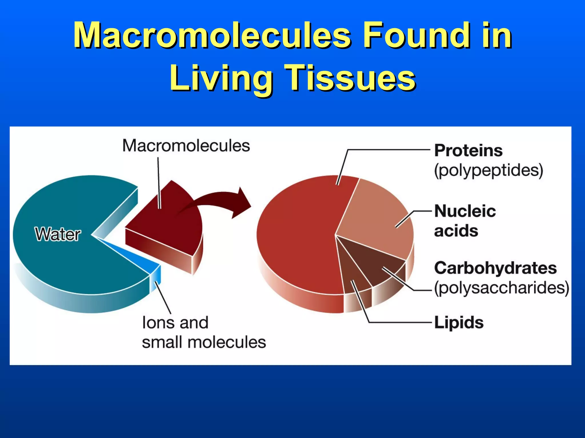 Macromolecules Found in
     Living Tissues
 