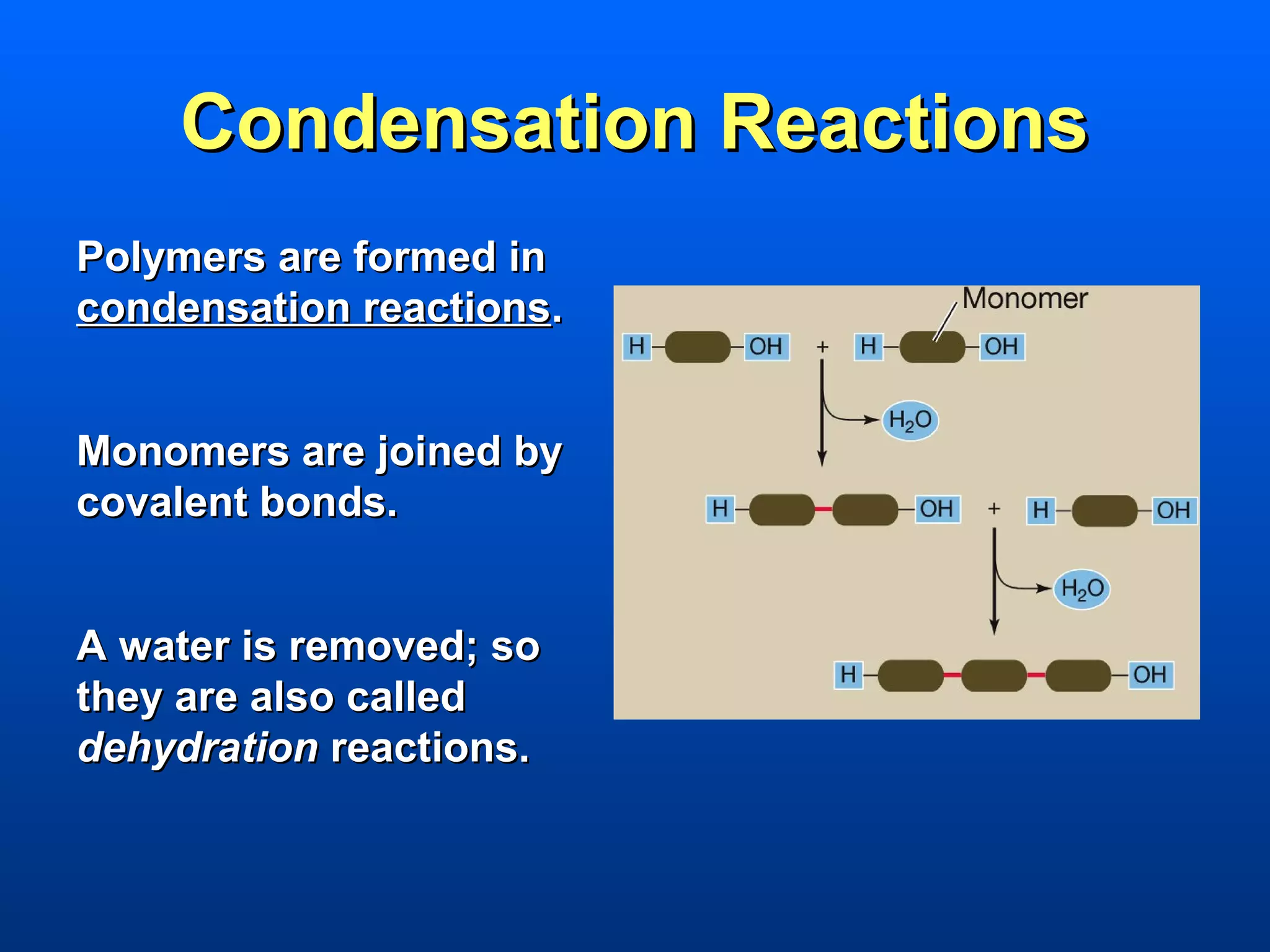 Condensation Reactions
Polymers are formed in
condensation reactions.


Monomers are joined by
covalent bonds.


A water is removed; so
they are also called
dehydration reactions.
 