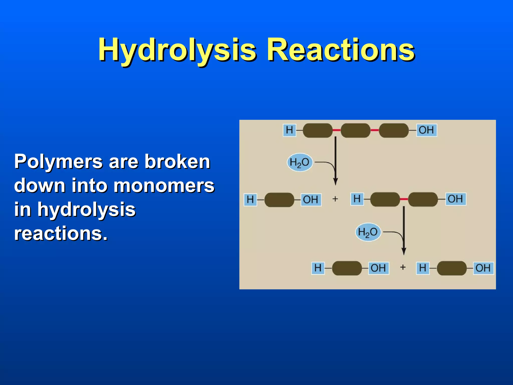 Hydrolysis Reactions


Polymers are broken
down into monomers
in hydrolysis
reactions.
 
