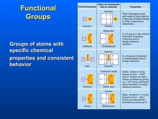 Functional
     Groups


Groups of atoms with
specific chemical
properties and consistent
behavior
 