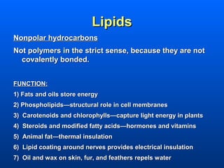 Lipids
Nonpolar hydrocarbons
Not polymers in the strict sense, because they are not
  covalently bonded.


FUNCTION:
1) Fats and oils store energy
2) Phospholipids—structural role in cell membranes
3) Carotenoids and chlorophylls—capture light energy in plants
4) Steroids and modified fatty acids—hormones and vitamins
5) Animal fat—thermal insulation
6) Lipid coating around nerves provides electrical insulation
7) Oil and wax on skin, fur, and feathers repels water
 
