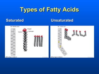 Types of Fatty Acids
Saturated        Unsaturated
 