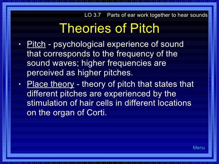 Sensation & Perception