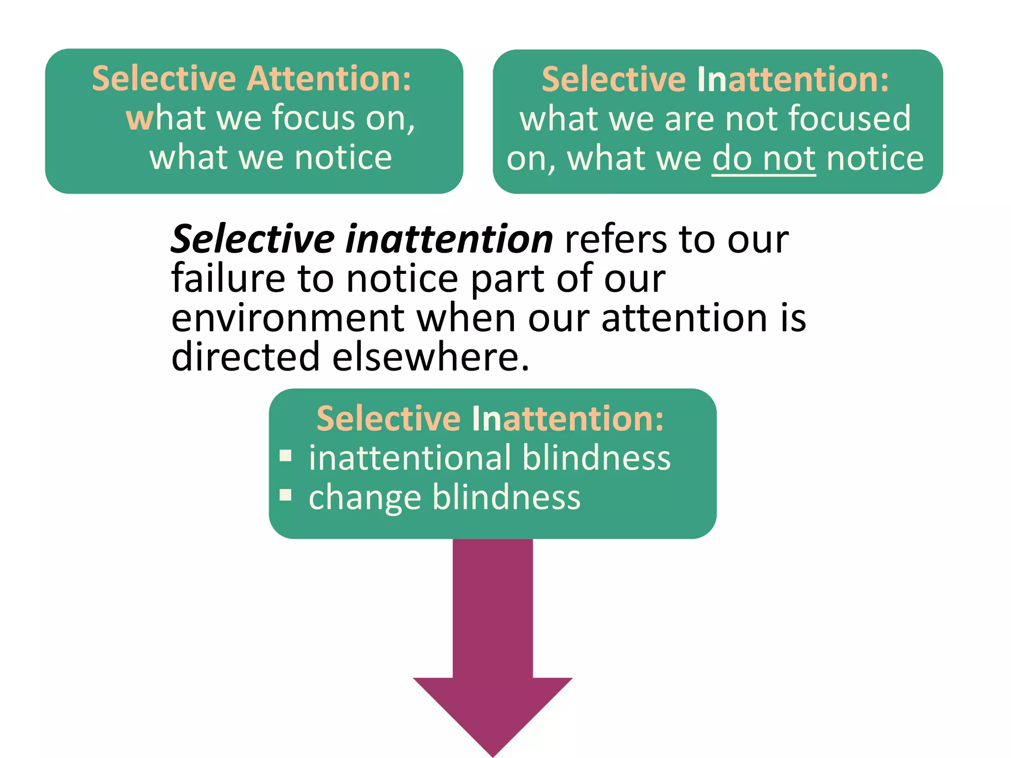 Selective inattention refers to our
failure to notice part of our
environment when our attention is
directed elsewhere.
Selective Inattention:
 inattentional blindness
 change blindness
Selective Inattention:
what we are not focused
on, what we do not notice
Selective Attention:
what we focus on,
what we notice
 