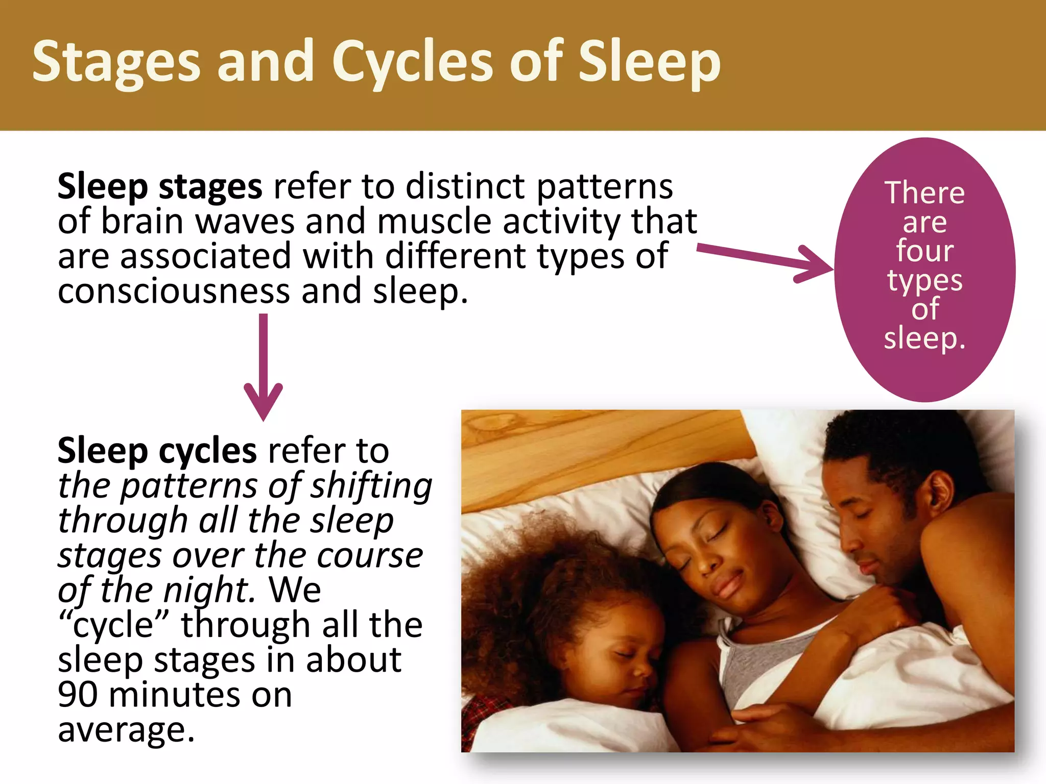 Stages and Cycles of Sleep
Sleep stages refer to distinct patterns
of brain waves and muscle activity that
are associated with different types of
consciousness and sleep.
There
are
four
types
of
sleep.
Sleep cycles refer to
the patterns of shifting
through all the sleep
stages over the course
of the night. We
“cycle” through all the
sleep stages in about
90 minutes on
average.
 