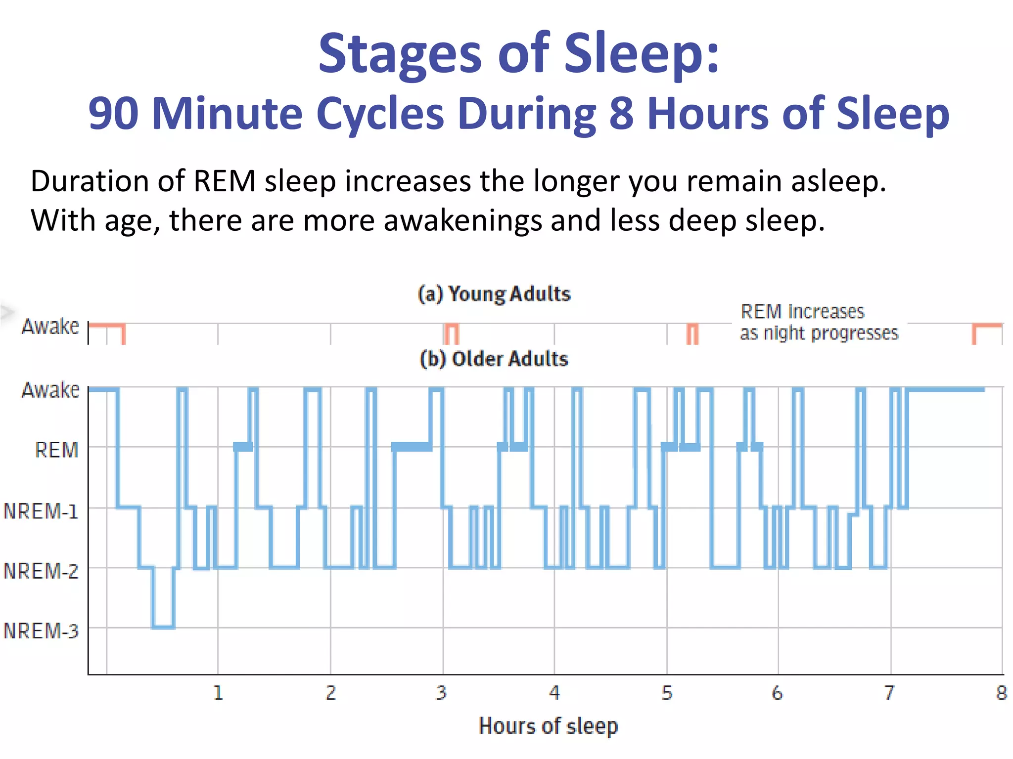 Stages of Sleep:
90 Minute Cycles During 8 Hours of Sleep
Duration of REM sleep increases the longer you remain asleep.
With age, there are more awakenings and less deep sleep.
 