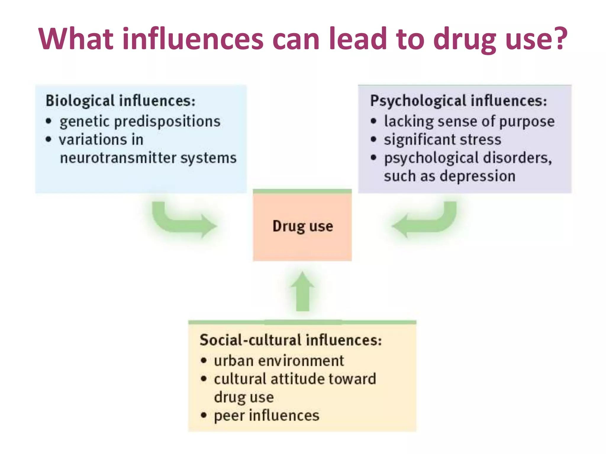 What influences can lead to drug use?
 