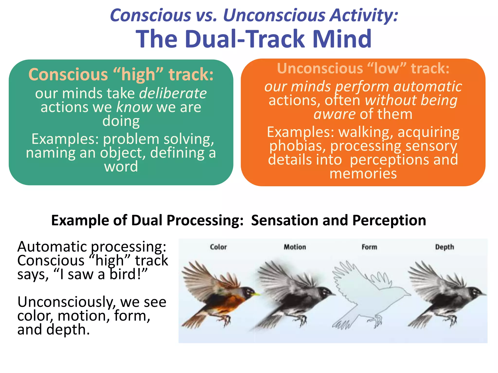 Conscious vs. Unconscious Activity:
The Dual-Track Mind
Conscious “high” track:
our minds take deliberate
actions we know we are
doing
Examples: problem solving,
naming an object, defining a
word
Unconscious “low” track:
our minds perform automatic
actions, often without being
aware of them
Examples: walking, acquiring
phobias, processing sensory
details into perceptions and
memories
Automatic processing:
Conscious “high” track
says, “I saw a bird!”
Unconsciously, we see
color, motion, form,
and depth.
Example of Dual Processing: Sensation and Perception
 