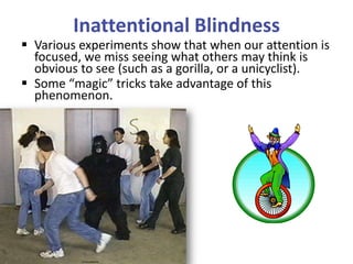 Inattentional Blindness
 Various experiments show that when our attention is
focused, we miss seeing what others may think is
obvious to see (such as a gorilla, or a unicyclist).
 Some “magic” tricks take advantage of this
phenomenon.
 