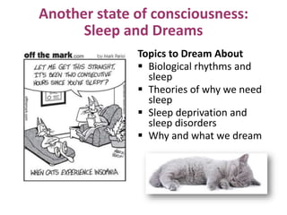Another state of consciousness:
Sleep and Dreams
Topics to Dream About
 Biological rhythms and
sleep
 Theories of why we need
sleep
 Sleep deprivation and
sleep disorders
 Why and what we dream
 