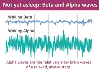 Not yet asleep: Beta and Alpha waves
Alpha waves are the relatively slow brain waves
of a relaxed, awake state.
 