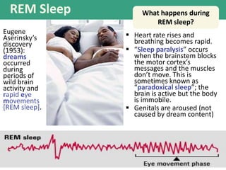 REM Sleep
Eugene
Aserinsky’s
discovery
(1953):
dreams
occurred
during
periods of
wild brain
activity and
rapid eye
movements
[REM sleep].
 Heart rate rises and
breathing becomes rapid.
 “Sleep paralysis” occurs
when the brainstem blocks
the motor cortex’s
messages and the muscles
don’t move. This is
sometimes known as
“paradoxical sleep”; the
brain is active but the body
is immobile.
 Genitals are aroused (not
caused by dream content)
What happens during
REM sleep?
 