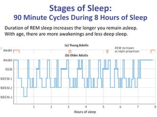 Stages of Sleep:
90 Minute Cycles During 8 Hours of Sleep
Duration of REM sleep increases the longer you remain asleep.
With age, there are more awakenings and less deep sleep.
 