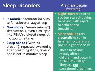 Sleep Disorders
• Insomnia: persistent inability
to fall asleep or stay asleep
• Narcolepsy (“numb seizure”):
sleep attacks, even a collapse
into REM/paralyzed sleep, at
inopportune times
• Sleep apnea (“with no
breath”): repeated awakening
after breathing stops; time in
bed is not restorative sleep
 Night terrors refer to
sudden scared-looking
behavior, with rapid
heartbeat and
breathing.
 Sleepwalking and
sleeptalking run in
families, so there is a
possible genetic basis.
Are these people
dreaming?
These behaviors,
mostly affect
children, and occur in
NONREM-3 sleep.
They are not
considered dreaming.
 