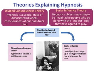 Theories Explaining Hypnosis
Social Influence Theory
Hypnotic subjects may simply
be imaginative people who go
along with the “subject” role
they have agreed to play.
Divided Consciousness Theory
Hypnosis is a special state of
dissociated (divided)
consciousness of our dual-track
mind.
 