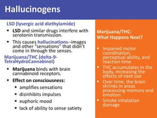 Hallucinogens
LSD (lysergic acid diethylamide)
 LSD and similar drugs interfere with
serotonin transmission.
 This causes hallucinations--images
and other “sensations” that didn’t
come in through the senses.
Marijuana/THC (delta-9-
TetraHydroCannabinol)
 Marijuana binds with brain
cannabinoid receptors.
 Effect on consciousness:
 amplifies sensations
 disinhibits impulses
 euphoric mood
 lack of ability to sense satiety
Marijuana/THC:
What Happens Next?
 Impaired motor
coordination,
perceptual ability, and
reaction time
 THC accumulates in the
body, increasing the
effects of next use
 Over time, the brain
shrinks in areas
processing memory and
emotion
 Smoke inhalation
damage
 